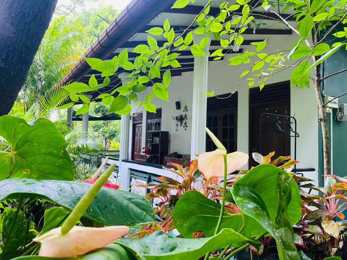 The Jungle Path Lodge Szigirija Kültér fotó